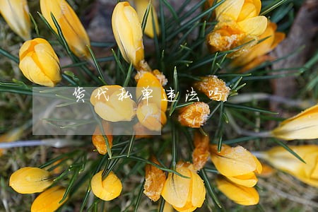 货代私单违法吗 货代私单违法吗