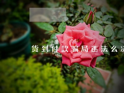 货到付款骗局违法么决 货到付款骗局违法么决
