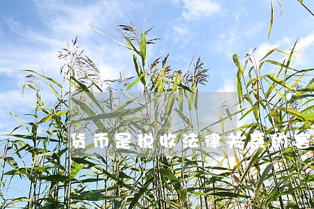 货币是税收法律关系的客体吗 货币是税收法律关系的客体吗