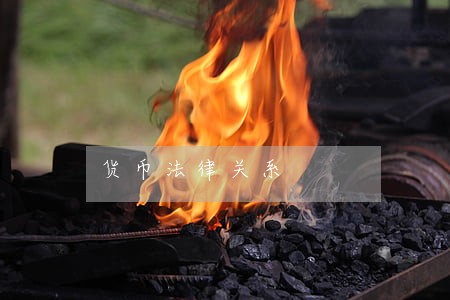 货币法律关系