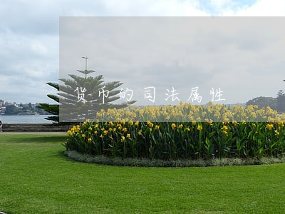 货币的司法属性 货币的司法属性