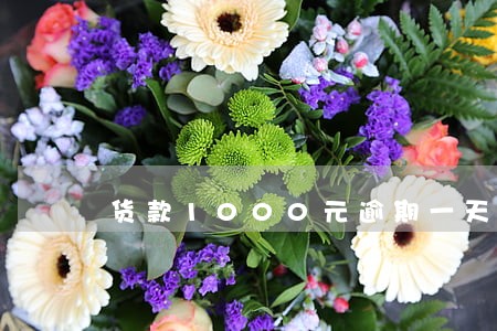货款1000元逾期一天36元 货款1000元逾期一天36元