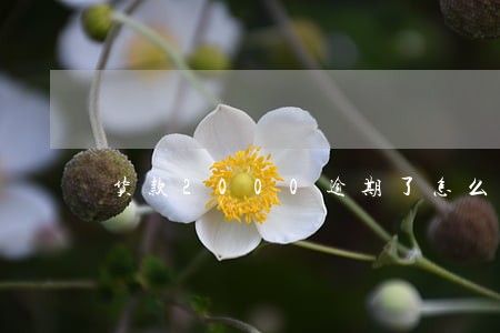 货款2000逾期了怎么办 货款2000逾期了怎么办