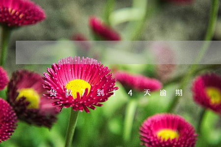 货款7到14天逾期 货款7到14天逾期
