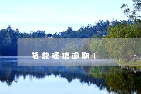 货款征信逾期1 货款征信逾期1