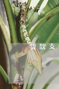 货款支付逾期15天 货款支付逾期15天