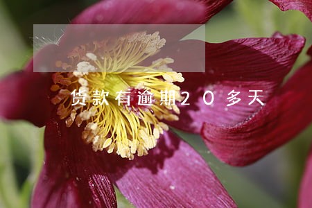 货款有逾期20多天 货款有逾期20多天