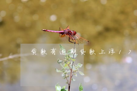 货款有逾期贷款上浮175 货款有逾期贷款上浮175