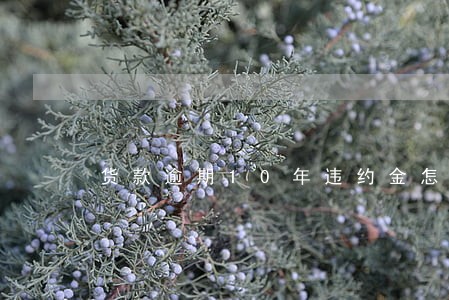 货款逾期10年违约金怎么算 货款逾期10年违约金怎么算
