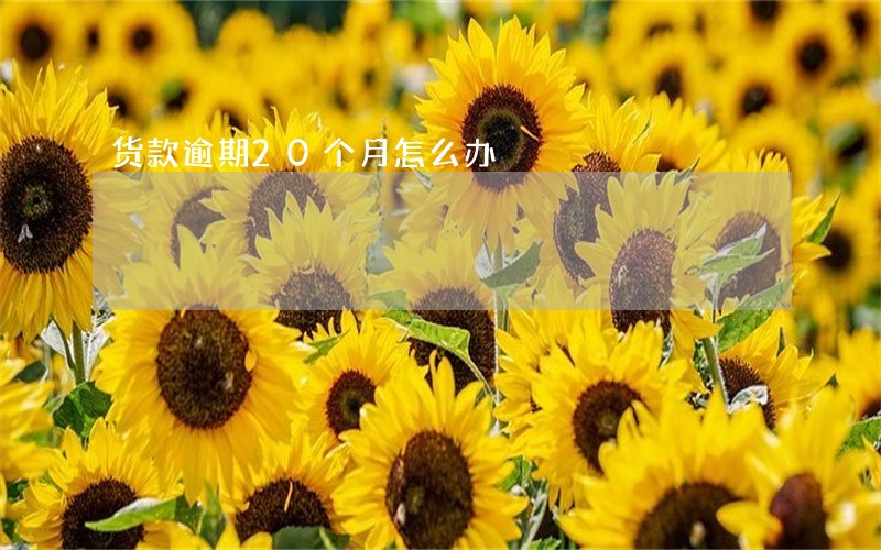货款逾期20个月怎么办 货款逾期20个月怎么办