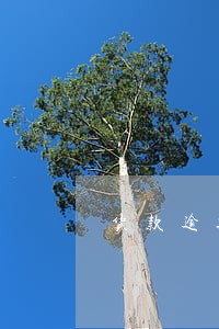 货款逾期90天会怎么处理 货款逾期90天会怎么处理