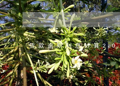 货款逾期利息计算2018 货款逾期利息计算2018