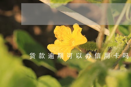 货款逾期可以办信用卡吗 货款逾期可以办信用卡吗