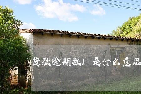 货款逾期数1是什么意思