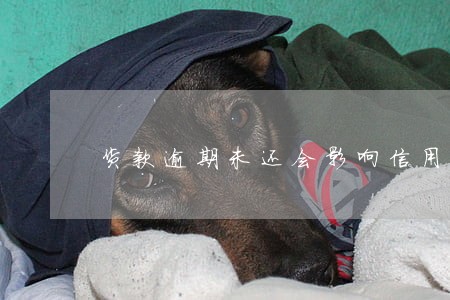 货款逾期未还会影响信用卡吗 货款逾期未还会影响信用卡吗