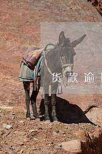 货款逾期银行怎么追缴
