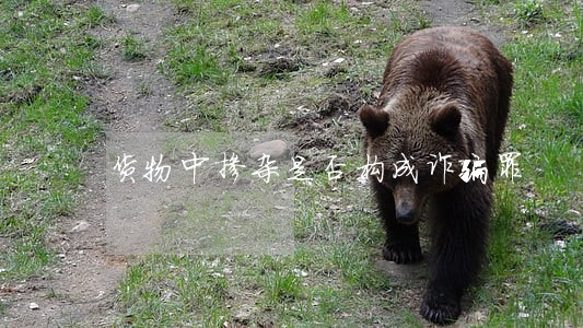 货物中掺杂是否构成诈骗罪 货物中掺杂是否构成诈骗罪