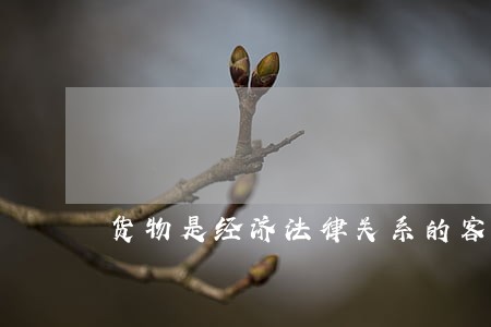 货物是经济法律关系的客体吗 货物是经济法律关系的客体吗
