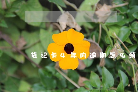 货记卡4年内逾期怎么消除 货记卡4年内逾期怎么消除