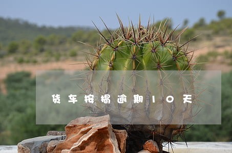 货车按揭逾期10天 货车按揭逾期10天
