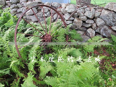 货车改轮胎违法嘛 货车改轮胎违法嘛