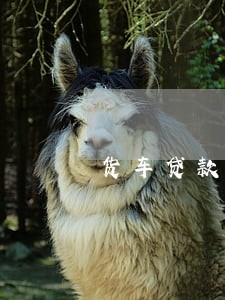 货车贷款逾期说保证金要扣了 货车贷款逾期说保证金要扣了