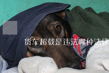 货车超载是违法哪种法律