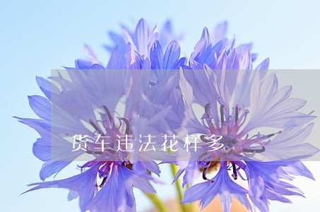 货车违法花样多 货车违法花样多