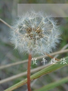 货车违法载人危害大 货车违法载人危害大