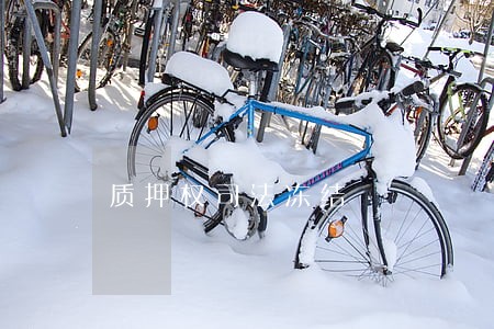 质押权司法冻结