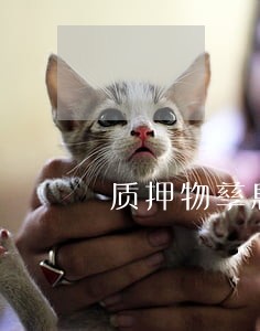质押物孳息归属法律规定是什么