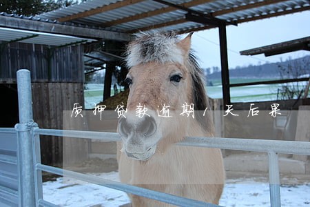 质押贷款逾期1天后果 质押贷款逾期1天后果