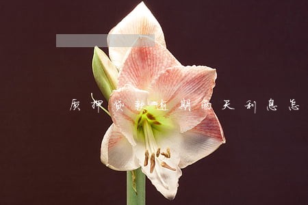 质押贷款逾期两天利息怎么算 质押贷款逾期两天利息怎么算