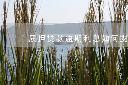 质押贷款逾期利息如何支付 质押贷款逾期利息如何支付
