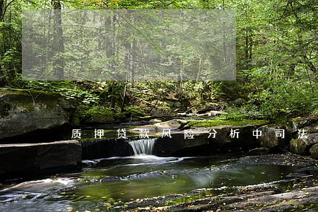 质押贷款风险分析中司法风险