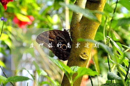 质押银行商票逾期 质押银行商票逾期