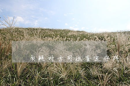 质疑对方司法鉴定伤残 质疑对方司法鉴定伤残
