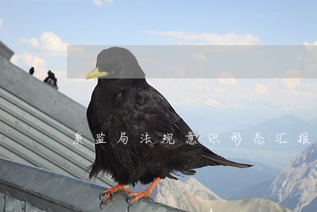 质监局法规意识形态汇报 质监局法规意识形态汇报