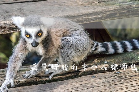 质量好的南京个人律师电话 质量好的南京个人律师电话