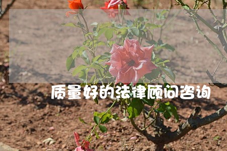 质量好的法律顾问咨询