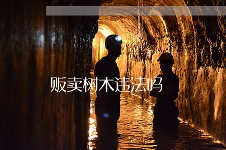 贩卖树木违法吗