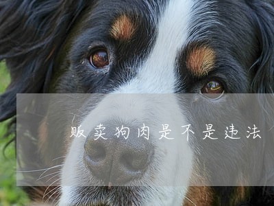 贩卖狗肉是不是违法 贩卖狗肉是不是违法