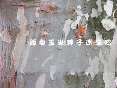 贩卖玉米种子违法吗 贩卖玉米种子违法吗