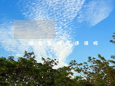 贩卖身份证违法吗 贩卖身份证违法吗