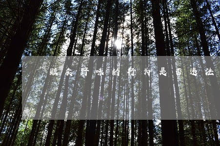 贩卖野味的行为是否违法 贩卖野味的行为是否违法