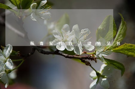 贩毒案件的法律意见书 贩毒案件的法律意见书