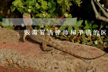 贩毒罪请律师和不请的区别有哪些 贩毒罪请律师和不请的区别有哪些