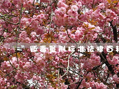 贩毒量刑标准法律百科