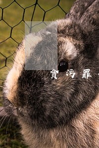 贪污罪刑事辩护律师网上咨询 贪污罪刑事辩护律师网上咨询