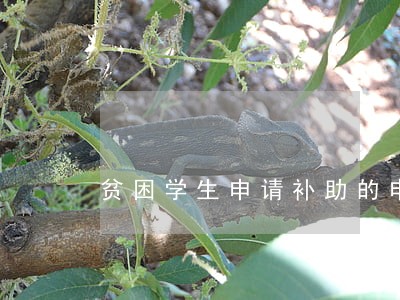 贫困学生申请补助的申请书怎么写 贫困学生申请补助的申请书怎么写